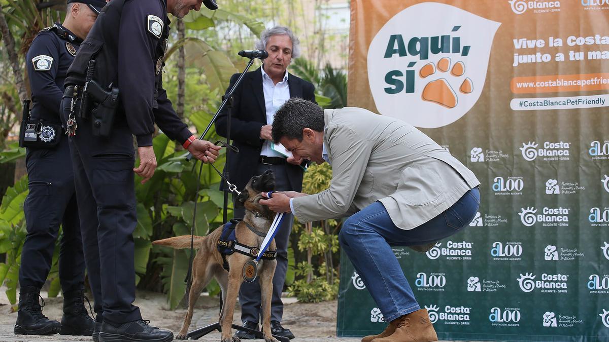Mazón con uno de los perros condecorados de la Unidad Canina de la Policía Local