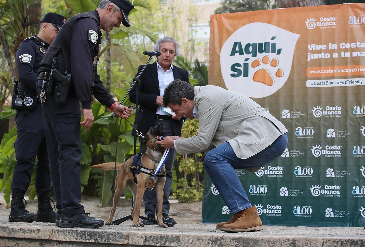 Mazón con uno de los perros condecorados de la Unidad Canina de la Policía Local