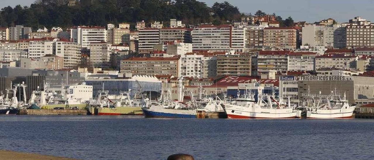 Buques que operan en Malvinas amarrados en Beiramar durante la parada antes de iniciar la primera campaña este año.  // Ricardo Grobas