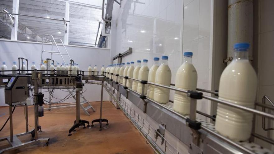 Industria riega el plan digital lácteo de Galicia y proyectos con Ceamsa, Bolton y varias bodegas