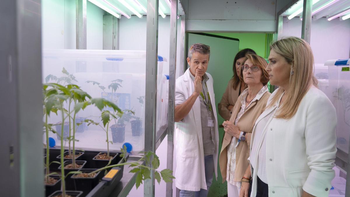 Mª Ángeles Pallarés, Eva Alcón y Marta Barrachina visitaron el laborotorio del proyecto ‘Intomed’ en la UJI.