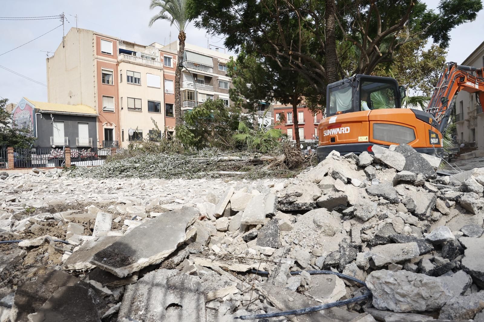 Una nueva tala de árboles en Alicante desata la polémica