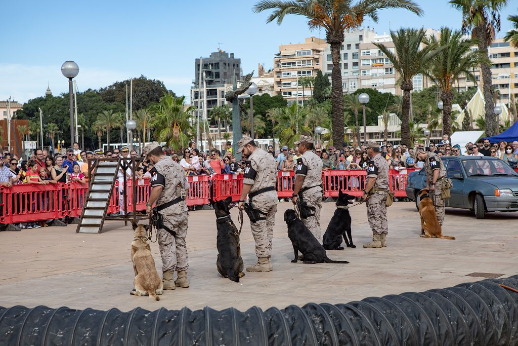 Exhibición de armas de la Armada en Cartagena