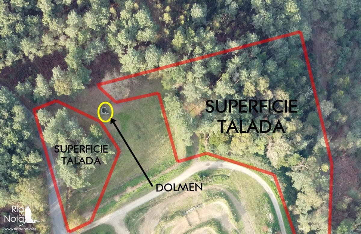 Ámbito de la tala realizada y localización del dolmen.