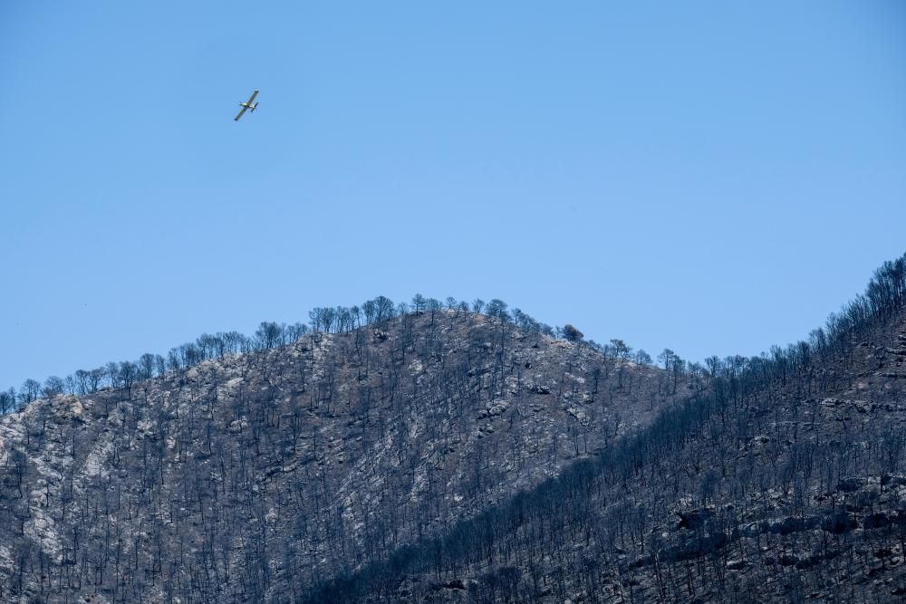 Así ha quedado la zona tras el incendio.