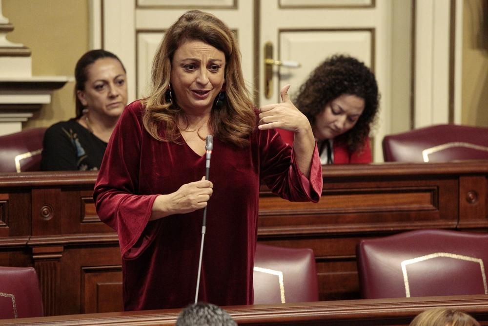 Pleno en el Parlamento de Canarias.