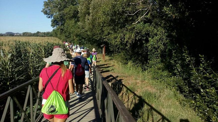 Participantes en una nueva edición de &quot;Caminando entre viñedos&quot;