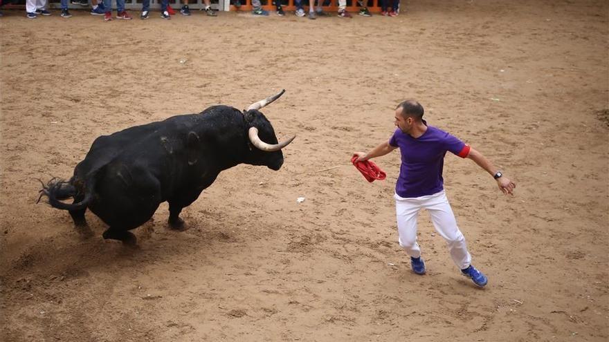 Los ganaderos de bous al carrer se concentran este martes por la falta de ayudas