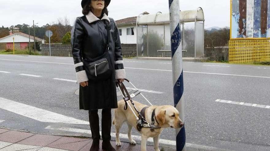 María Teresa y su perro guía &quot;Mabi&quot;, en el punto de la PO-325 donde necesitan el paso de cebra. // Alba Villar