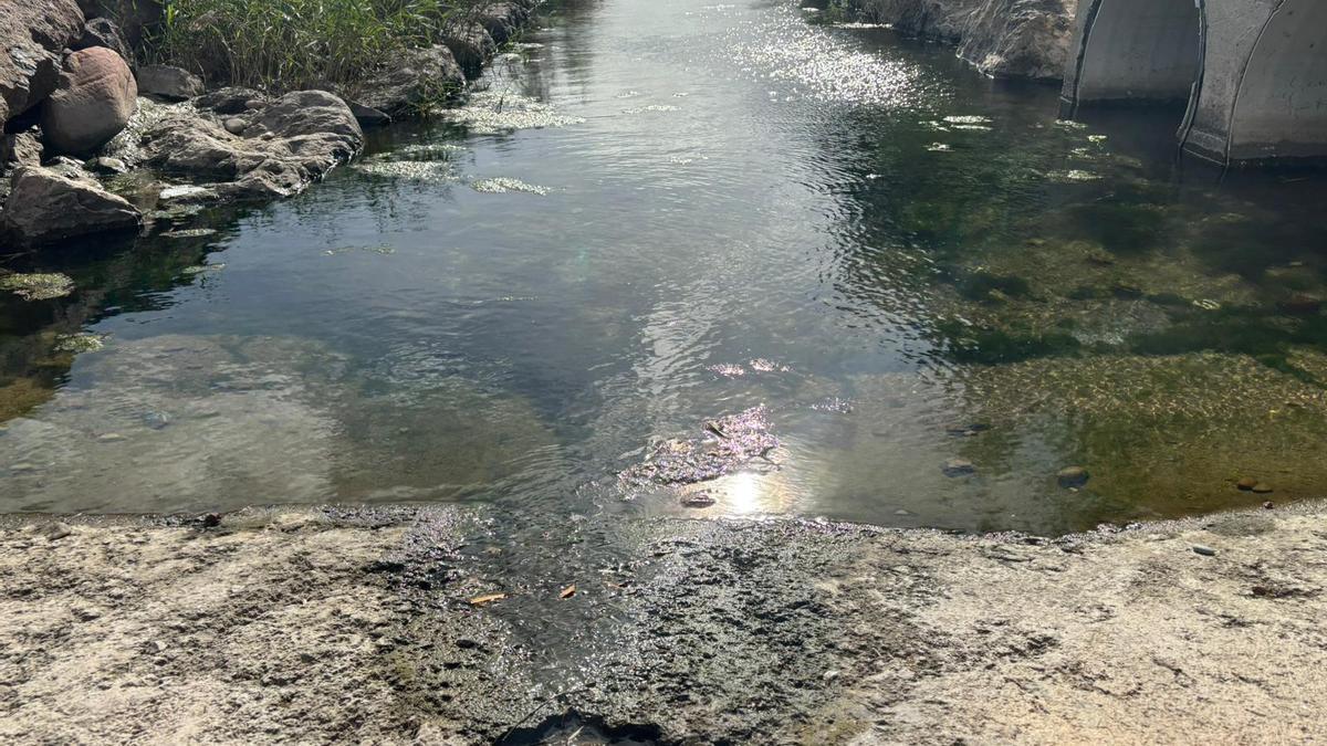 Imagen de los posibles vertidos en el canal.