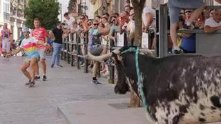 Carcabuey vibra con su toro