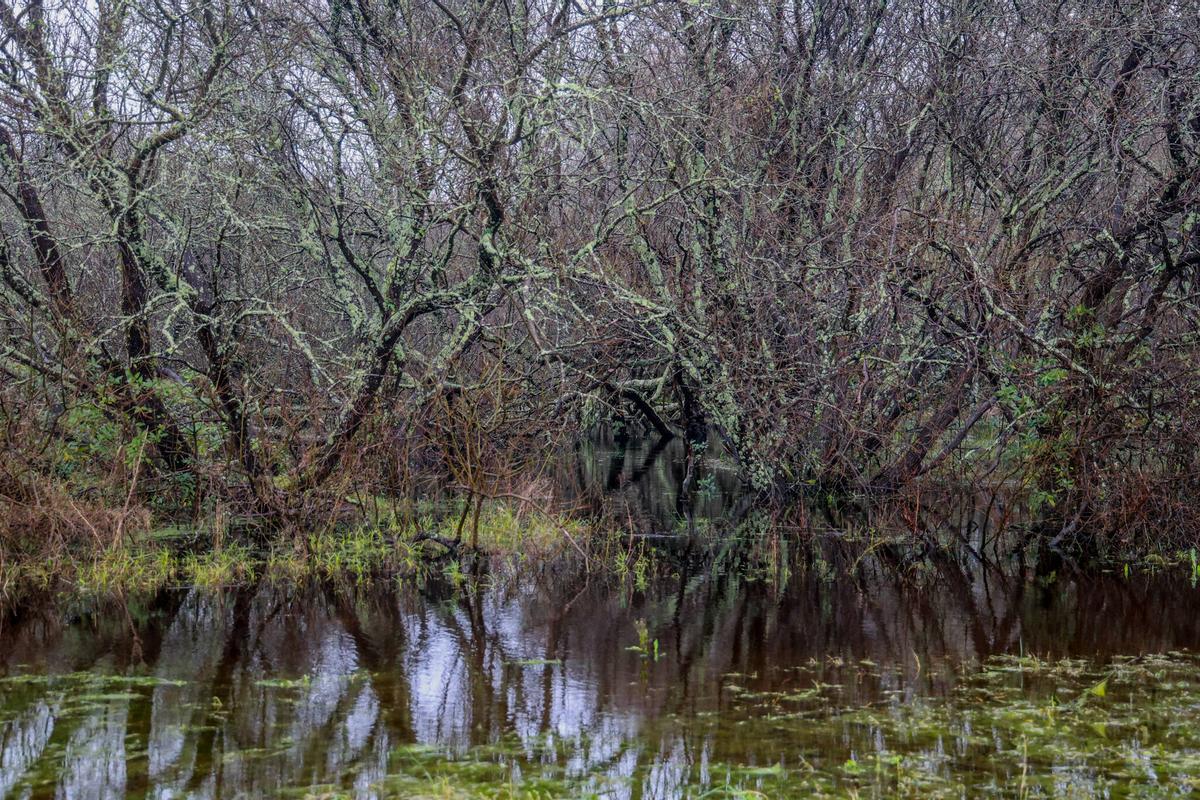El entorno de la laguna de A Bodeira.