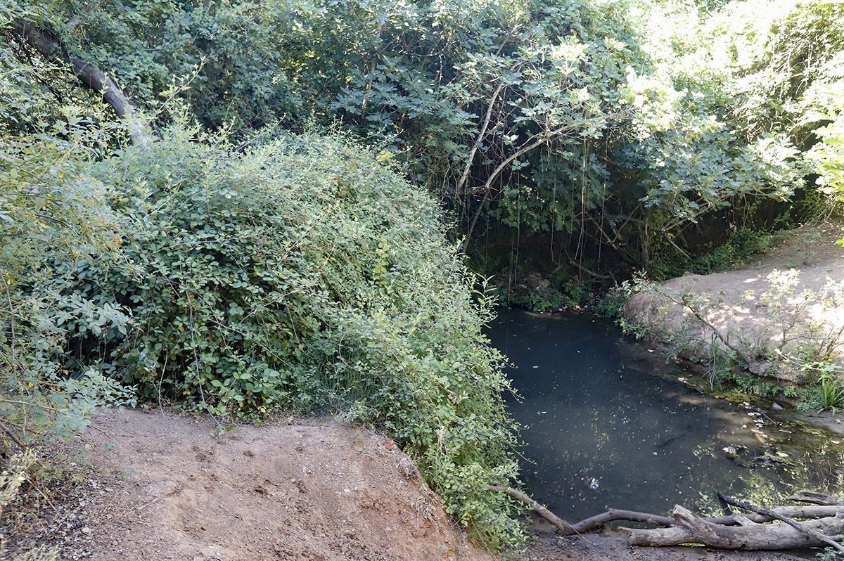 El Arroyo Bejarano