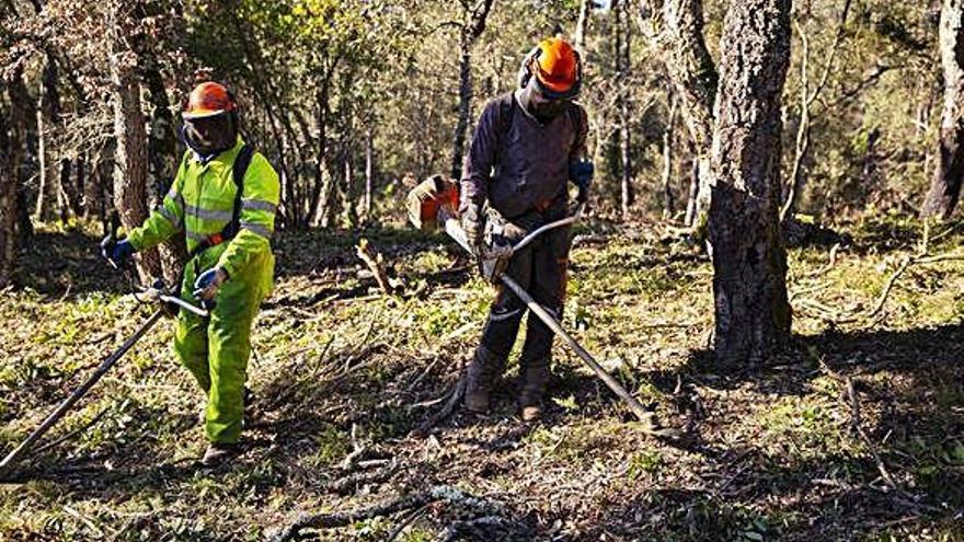 Operaris, treballant en una de les parcel·les de la urbanització de Can carbonell.