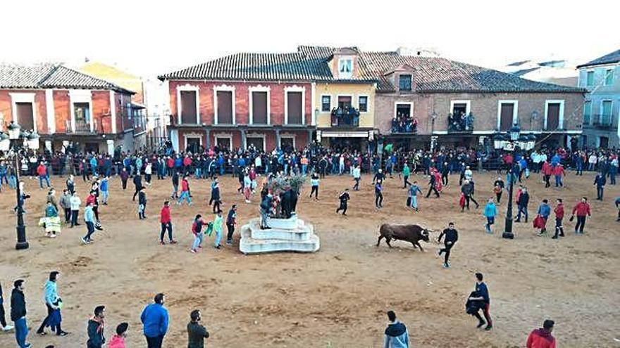 Dos momentos del Toro de la Purísima, en Villalpando.