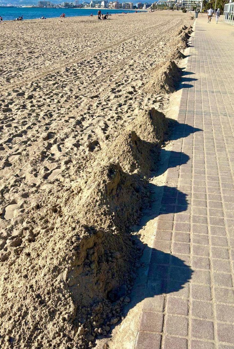 La pseudorreforma de la Platja de Palma retiró el murete en toda su longitud, de modo que el viento desplaza la arena hacia los jardines. Un empleado municipal barre y recoge en montículos, pero el paseo siempre está enarenado.