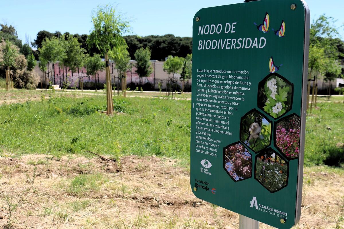 Ampliación del nodo de biodiversidad