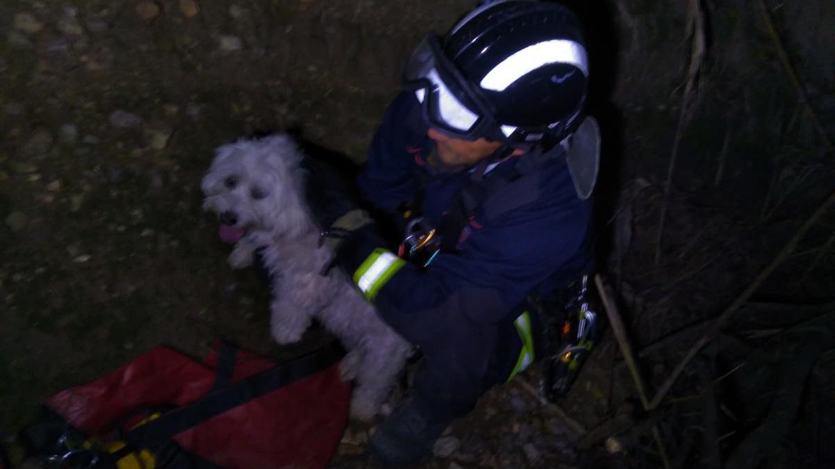 Rescatados dos perros que se habían caído a un pozo en Cieza