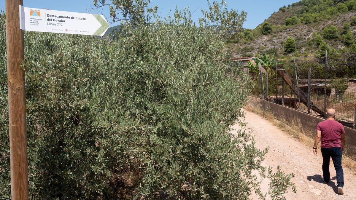 Un hombre recorre un camino próximo al lugar donde fue encontrado el cuerpo de la mujer, en el Barranc de les Vinyes de Alfondeguilla.
