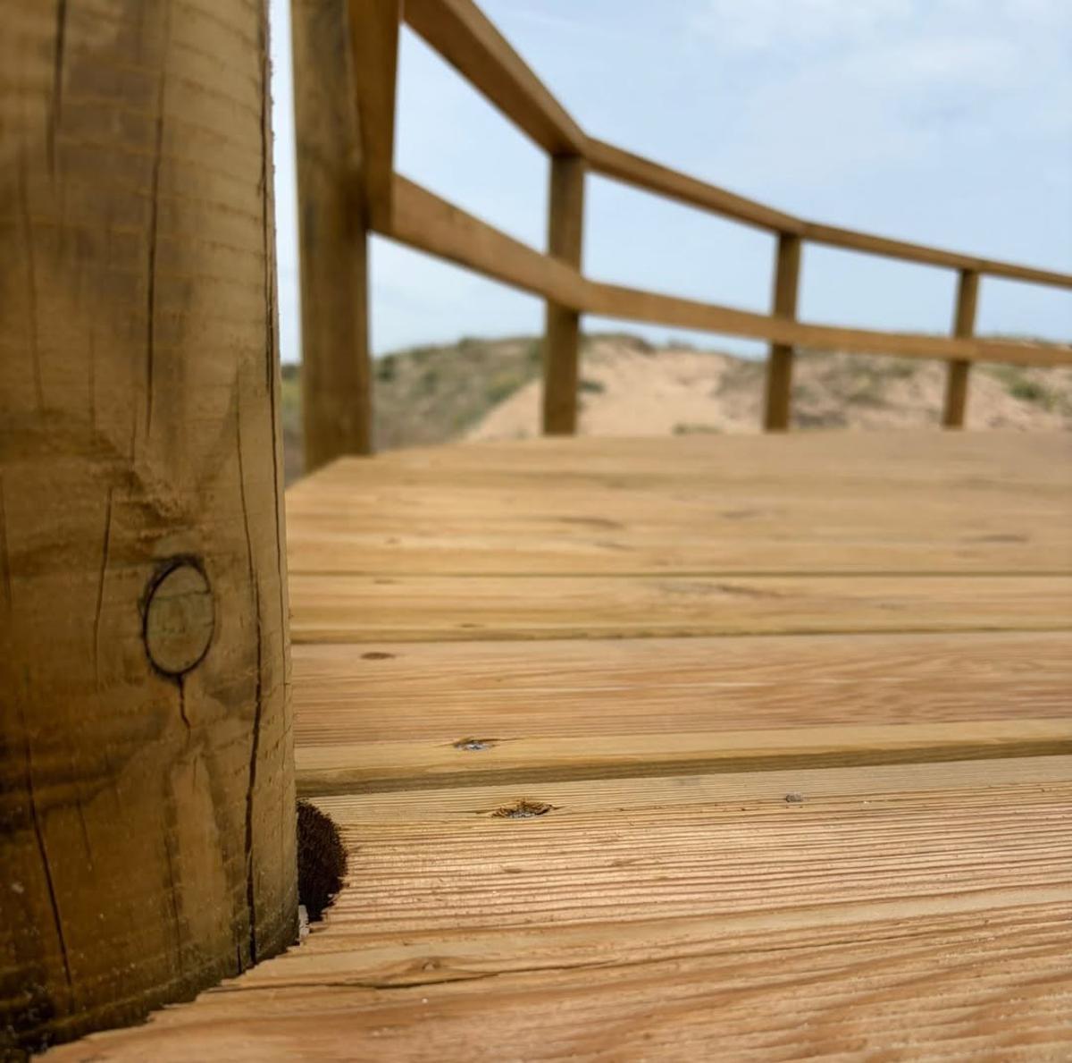 Pasarelas sobre las dunas.