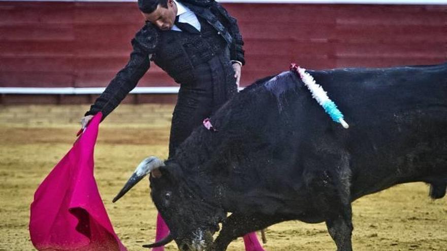 Manzanares, en su exitosa faena de Huelva.