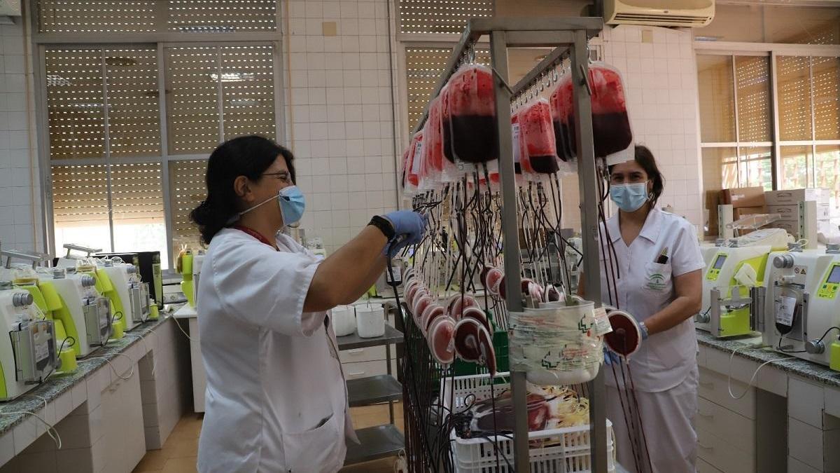 Los hospitales de Córdoba necesitan ocho mil donaciones de sangre este verano