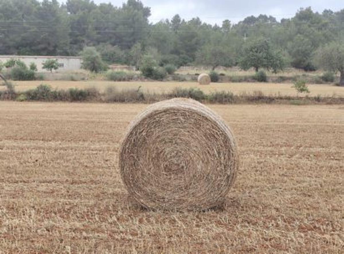 Llama la atención
