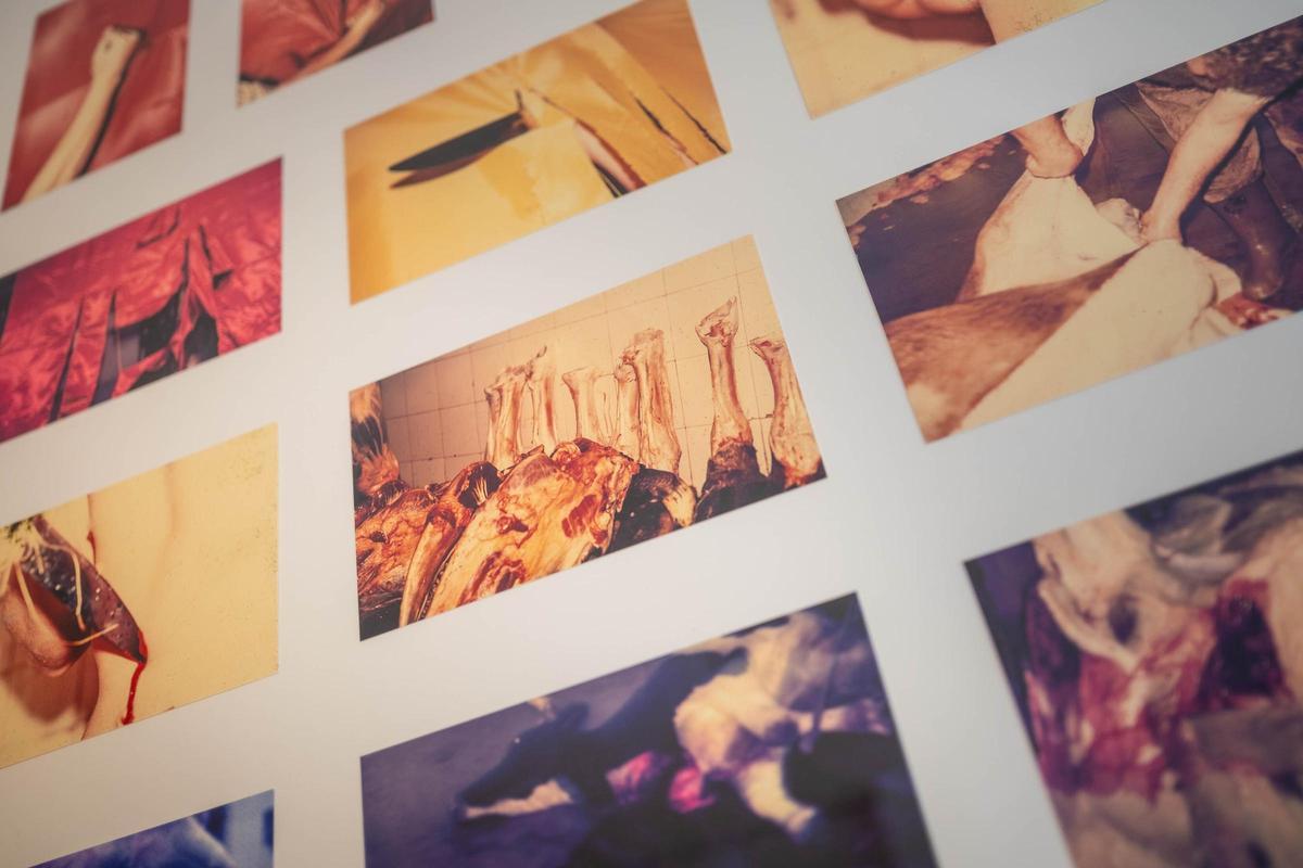 Varias de las fotografías incluidas en la muestra.