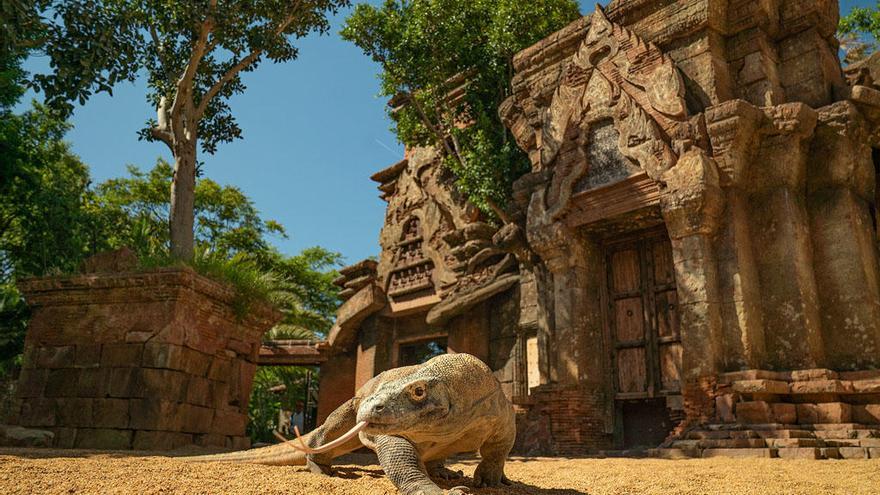 Uno de los protagonistas de Bioparc Fuengirola.