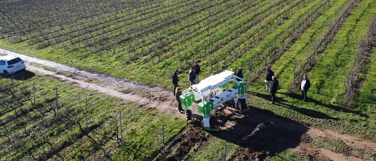 Miembros de AG Group con el robot autónomo agrícola TED de Naio Technologies, en los viñedos de Martín Códax en Verín.