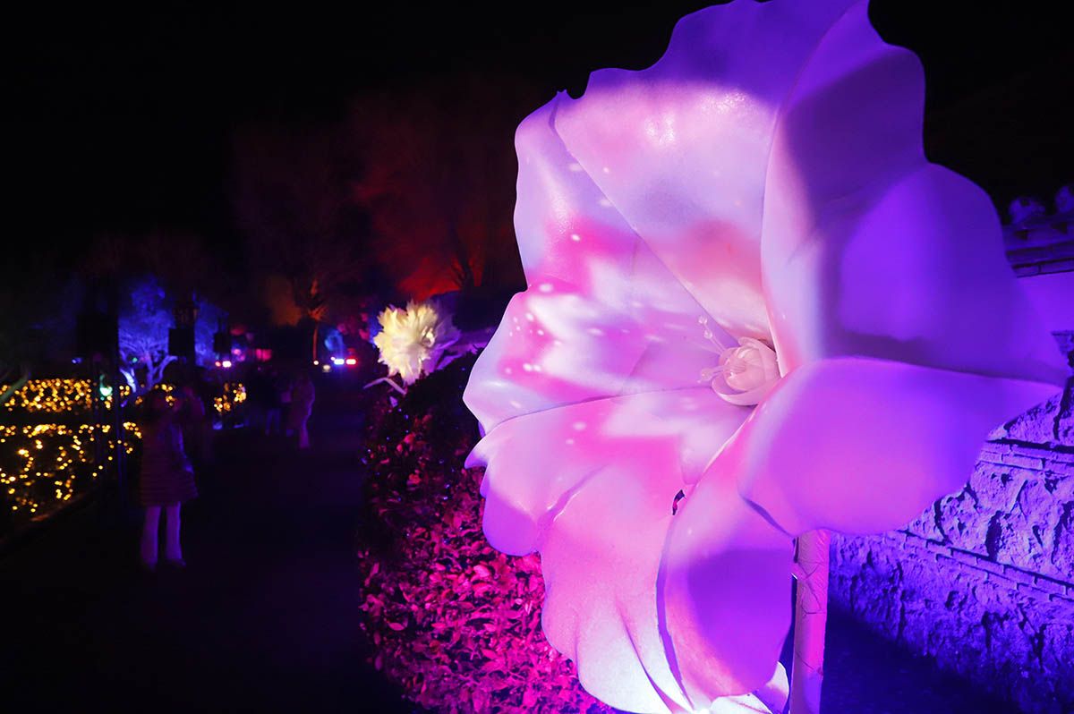 En imágenes el nuevo espectáculo Raíces en el jardín del Alcázar de Córdoba