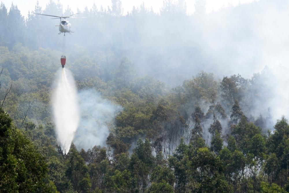 Incendio forestal en Cotobade