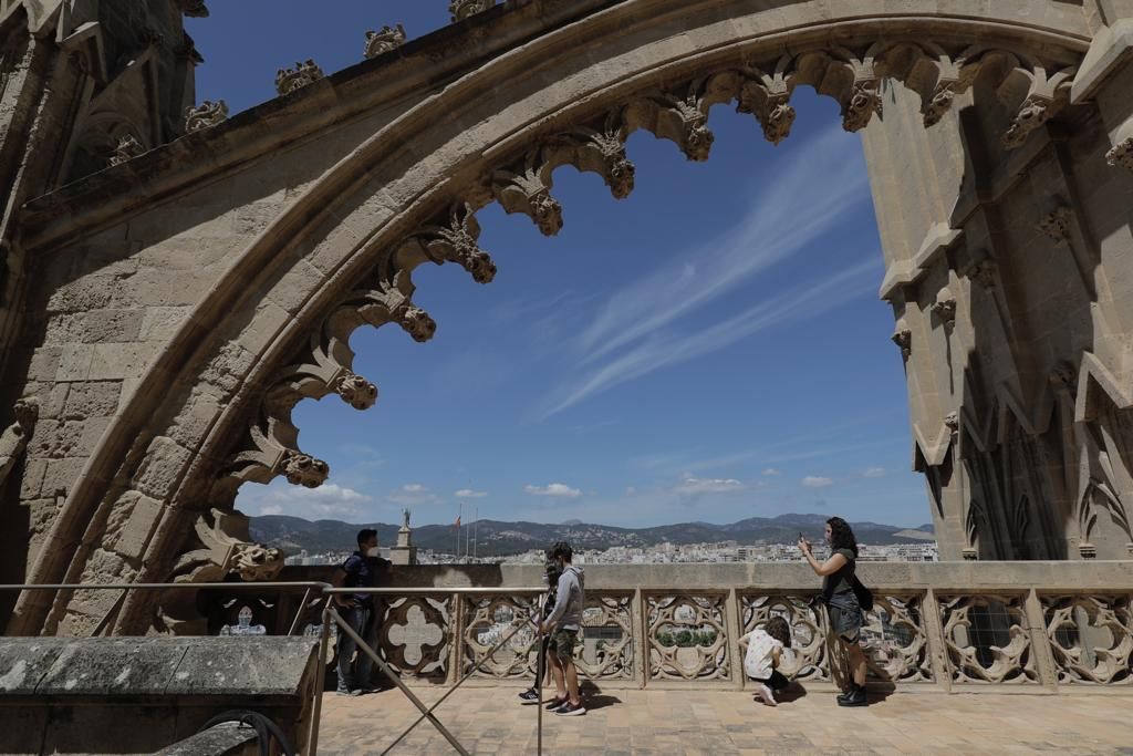 Vuelven las visitas a las terrazas de la Catedral de Mallorca