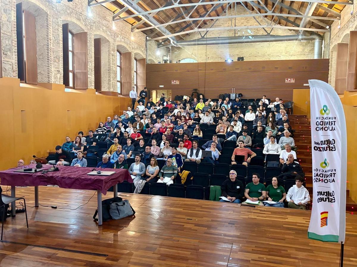 Presentación