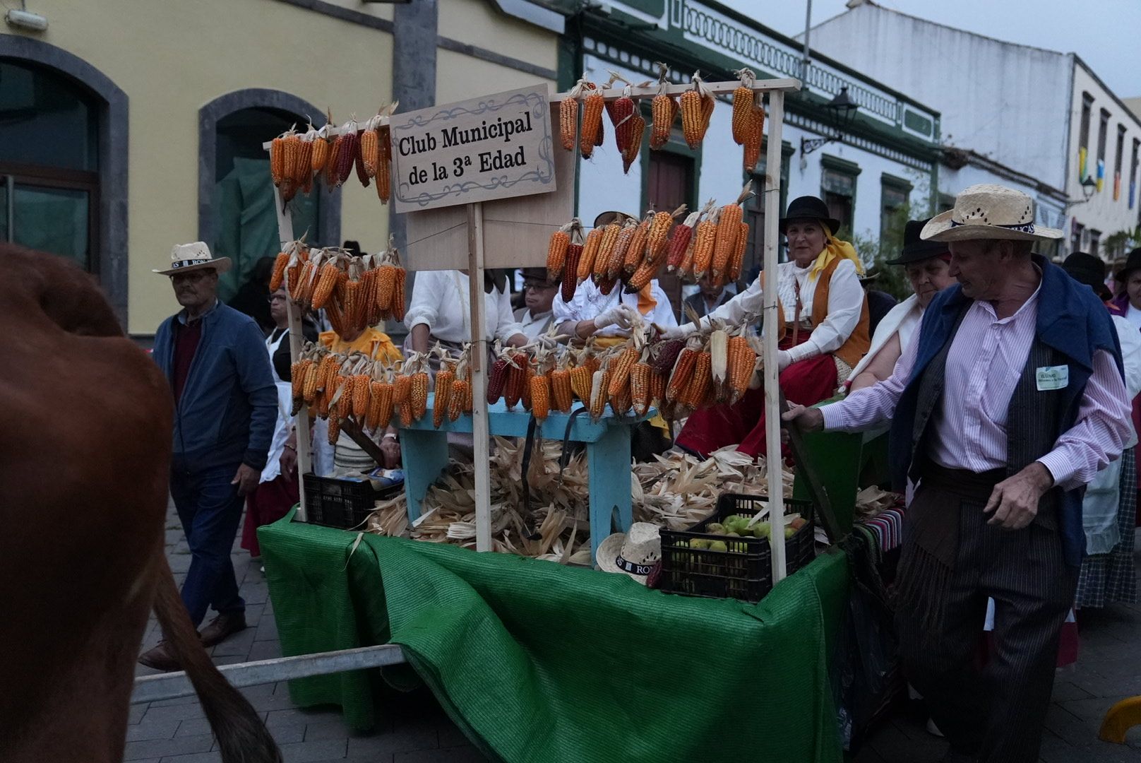 Romería Ofrenda Valleseco a la Virgen de la Encarnación