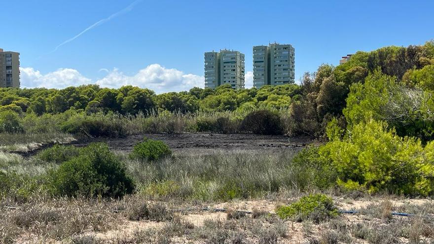 El área afectada por las llamas, con las torres de apartamentos de El Saler, detrás.