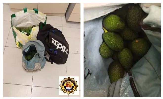 Detenido 'in fraganti' en Almoines tras robar en un campo de aguacates