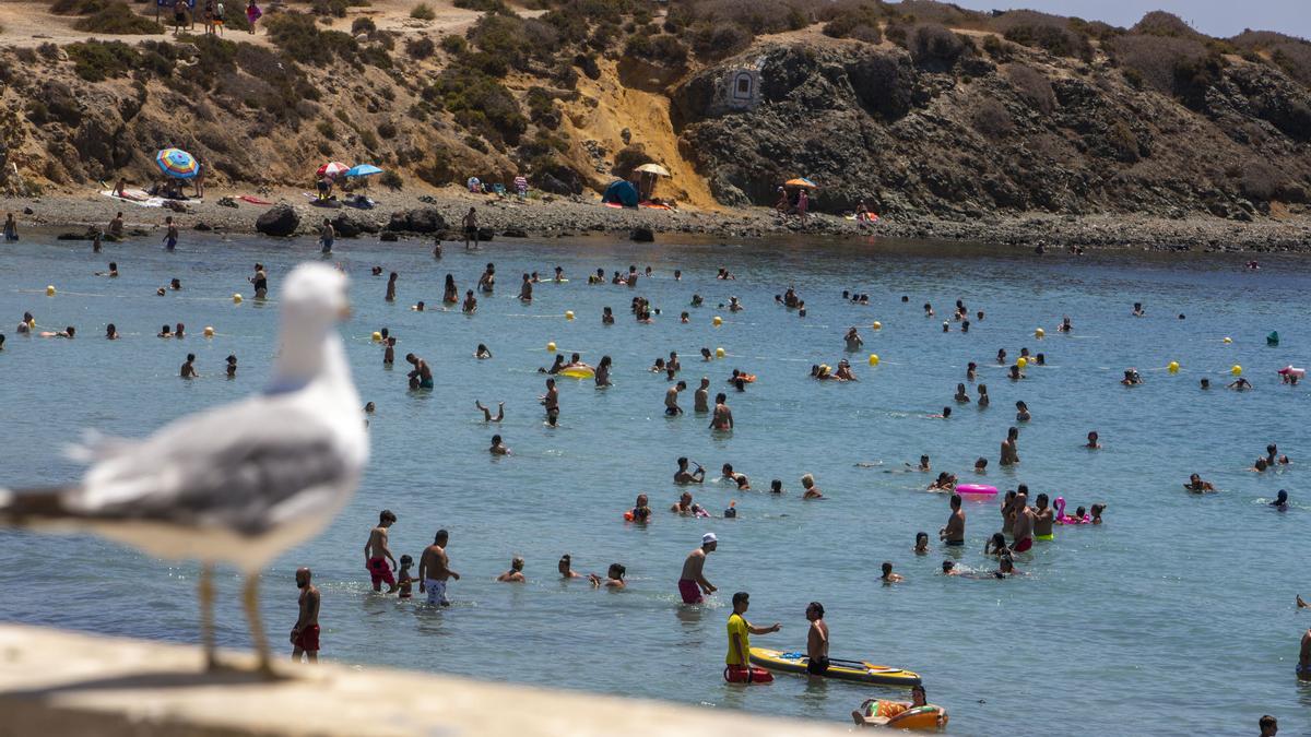 Decenas de personas se bañan en Tabarca a finales de julio.