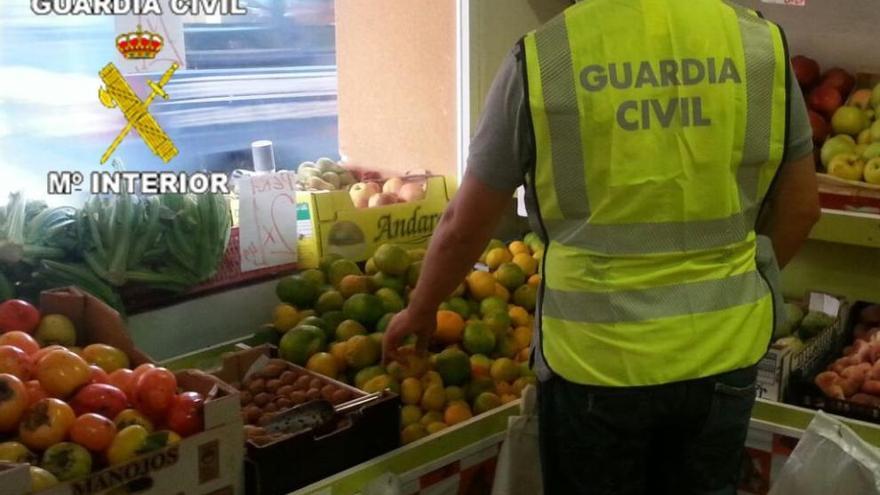 Un agente del Equipo ROCA de Paiporta inspecciona la frutería de Aldaia