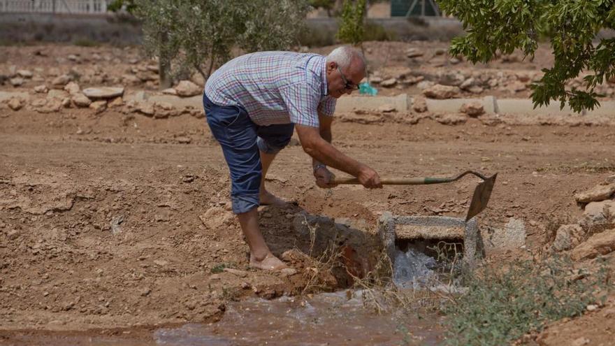 El Consell denuncia en la Audiencia Nacional que el cierre del Tajo-Segura ha roto la planificación de los agricultores