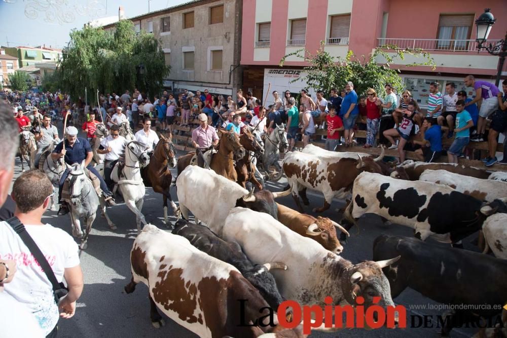 Quinto encierro en Moratalla