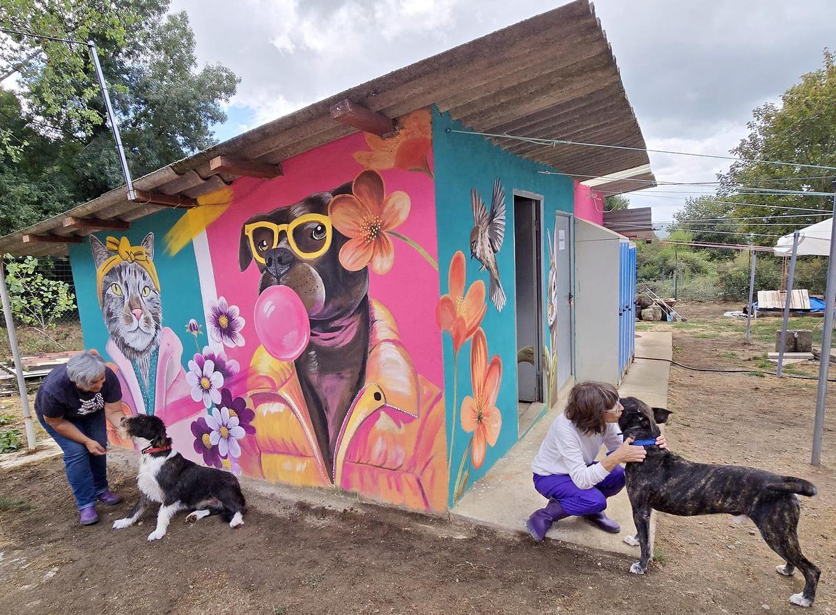 Voluntarias dándoles mimos a perros de la protectora Os Biosbardos ante los murales de la artista Eva Casais