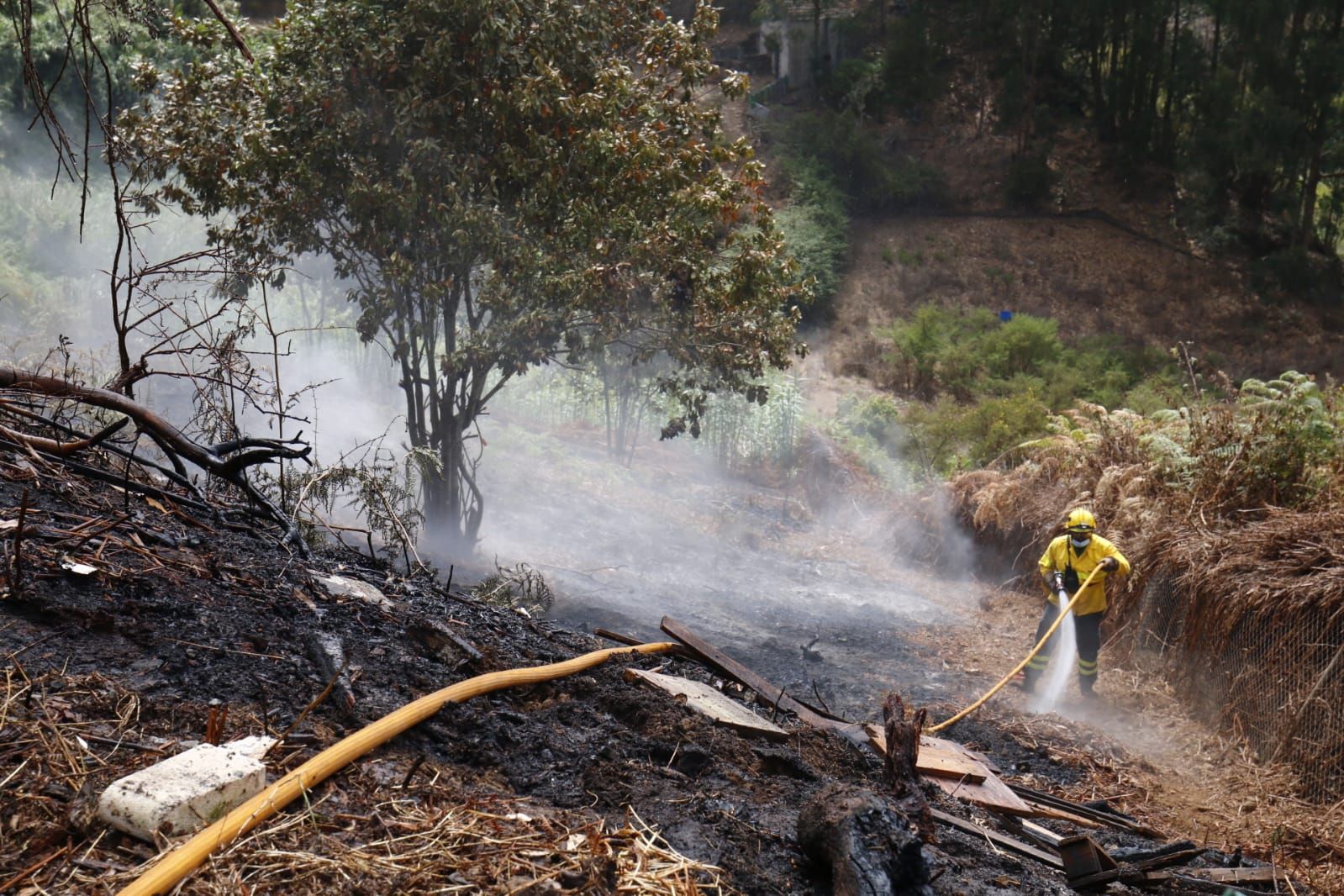 Incendio en Montaña Alta en Guía (29/07/2021)