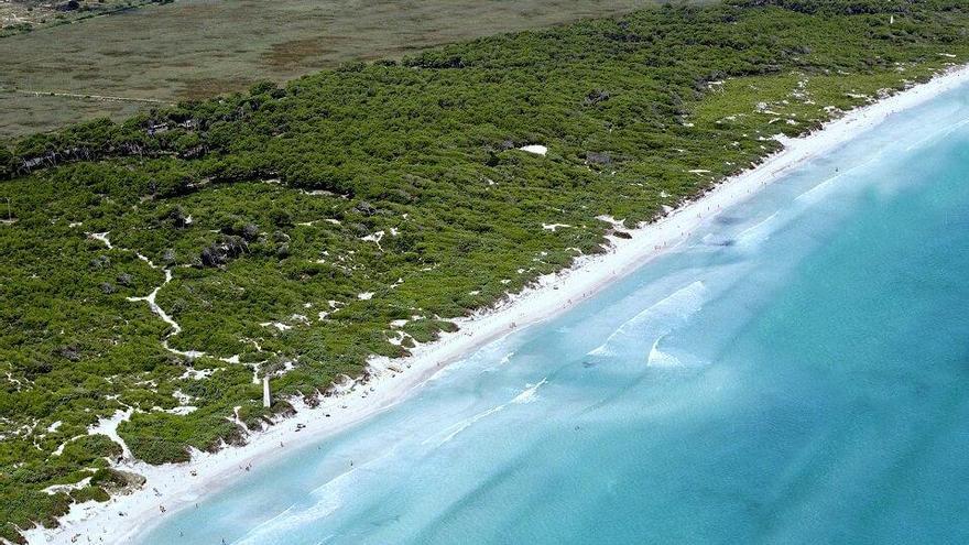 Playa de Muro erobert Platz eins im Spanien-Ranking von Trivago