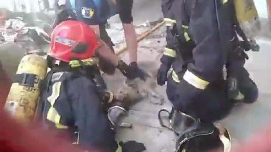 Fallece un perro rescatado de una vivienda incendiada