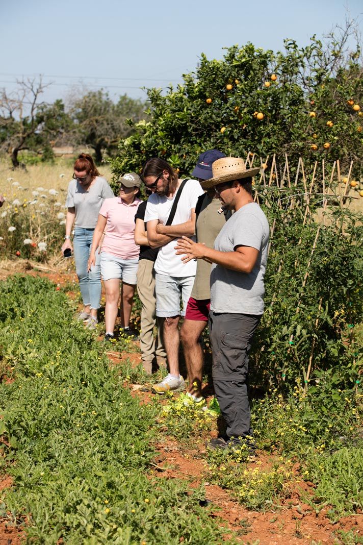 Finca ecológica Tierra de Ibiza