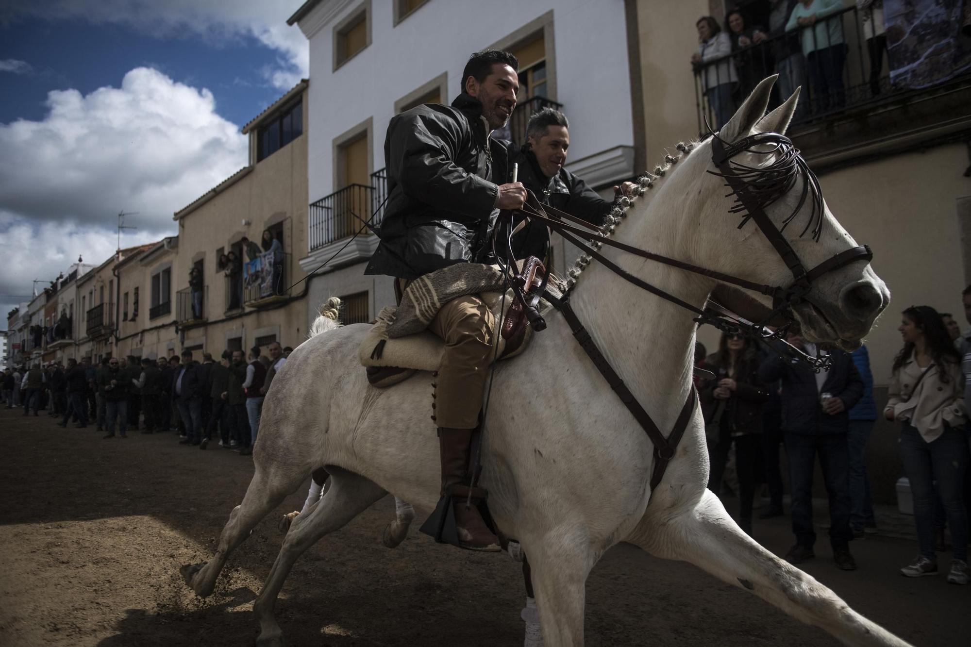 Carreras de caballos en Arroyo de la Luz