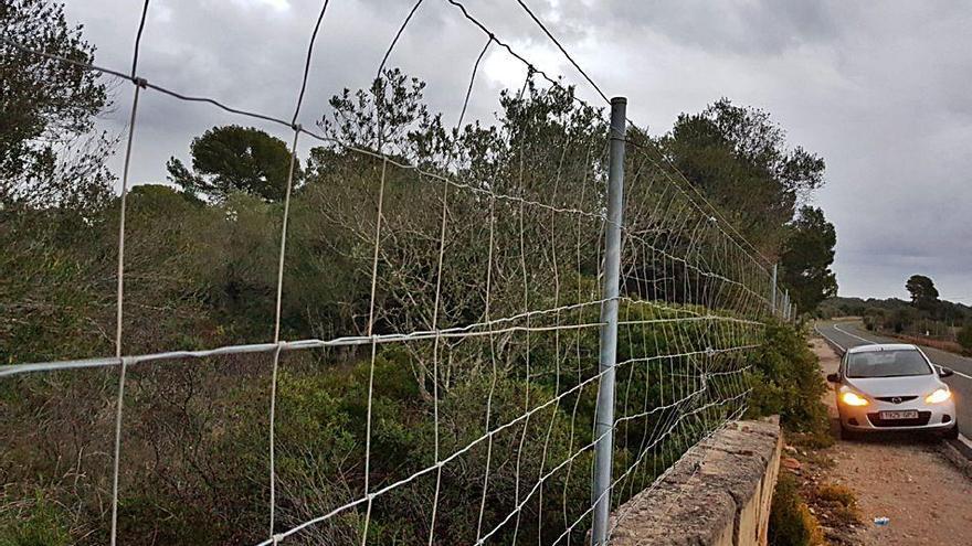 El cadáver apareció el lunes junto a la carretera de Cap Blanc, hacia el desvío de s´Estanyol.