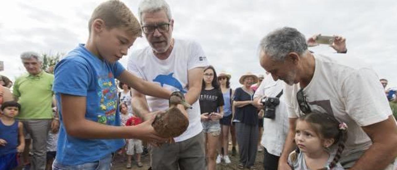 Unos niños se disponen a liberar a uno de los «collverds» ayer en el marjal de Almardà.