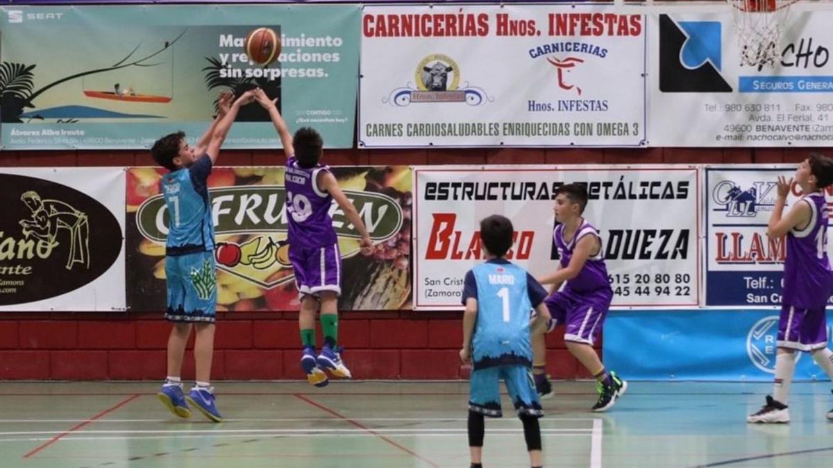 CB Zamora y Zamarat participaron en la Jornada de Minibasket de Benavente | AYUNTO. BENAVENTE